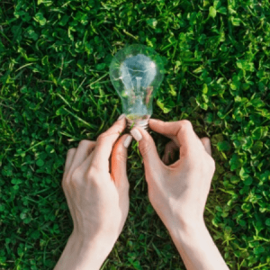 Como políticas de sustentabilidade impactam seu Valuation