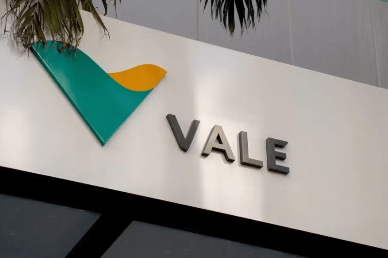 vale assume controle - investor