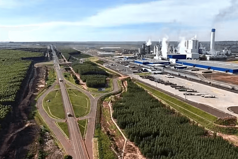Galápagos Conquista Rota da Celulose e Marca Entrada em Infraestrutura Rodoviária - Grupo Investor