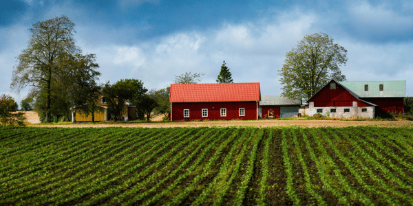 Laudo de Avaliação de Imóvel Rural